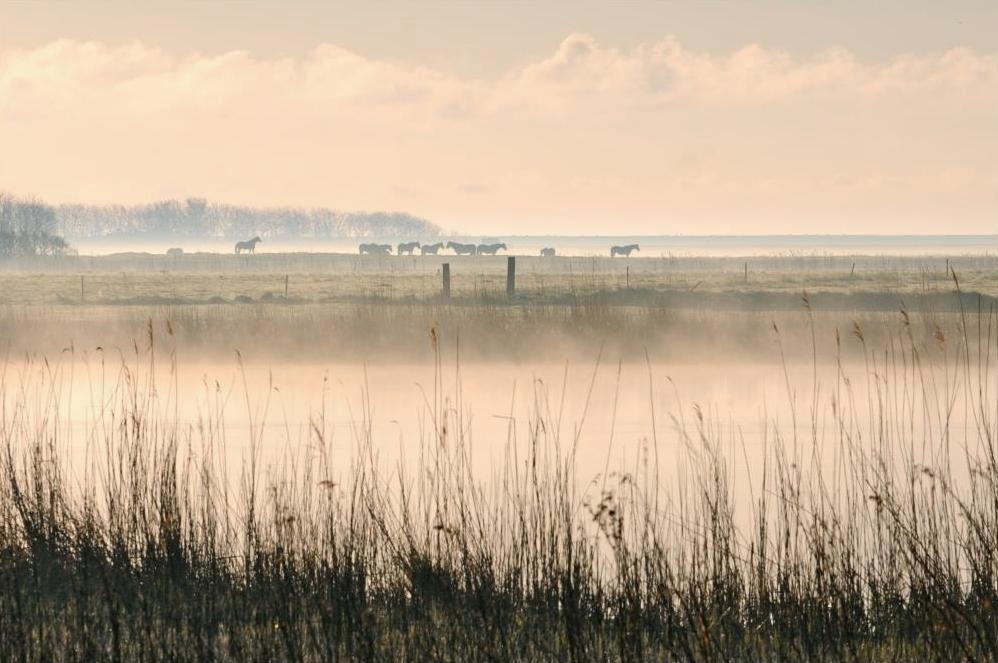 lente in texel, vakantie texel, 