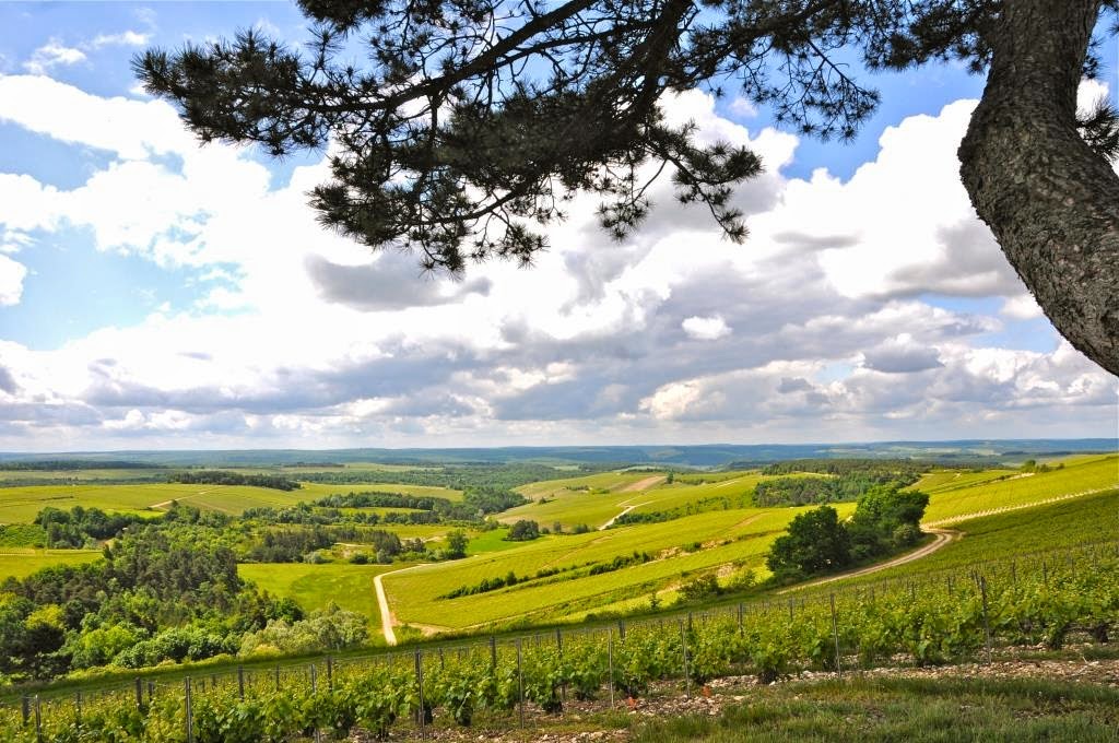 aube, champagne-ardenne, fietsen, frankrijk