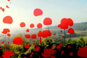 100 JAAR GROTE OORLOG IN PICARDIË (2) – CHEMIN DES DAMES