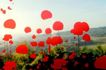 100 JAAR GROTE OORLOG IN PICARDIË (2) – CHEMIN DES DAMES