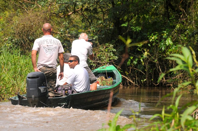 Amazonewoud Frans-Guyana