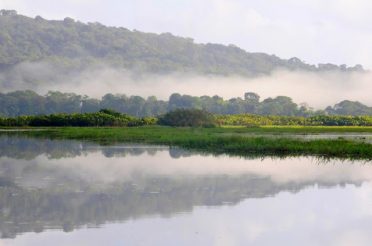 GUYANE (2): INTO THE WILD