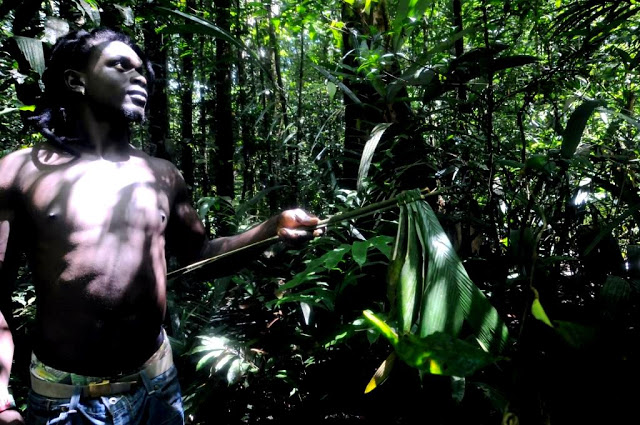 natuur Frans-Guyana, 