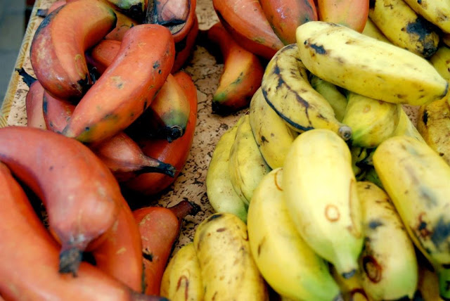 gastronomie tahiti, gastronomie polynesië, bakbananen