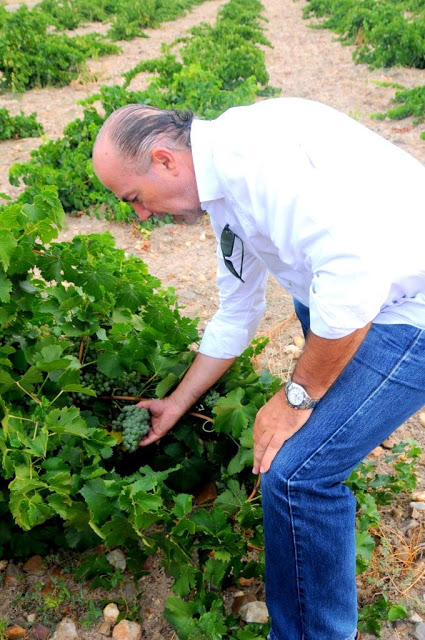 ruedawijnroute, rueda ruta del vino, wijntoerisme castilla y leon, oenotoerisme spanje, wijntoerisme spanje, wijntoerisme rueda, verdejo, rueda, wijtoerisme 