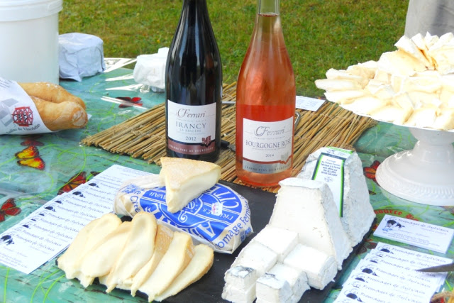 wijntourisme bourgondie, oenotoerisme bourgondie, aoc irancy, bourgondische kazen, bourgondische wijnen, aligoté, césar, pinot noir