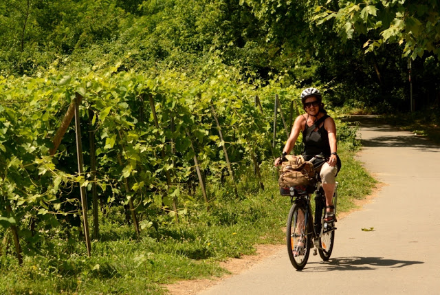 fietsen langs de Rhône, Rhône-vallei, Rhône-Alpes, Via Rhona, ViaRhôna, cote rotie