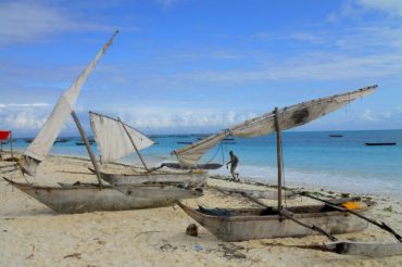 ZANZIBAR, EEN KRUIDENEILAND IN DE ZON