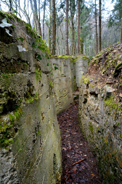 Verdun 2016, oorlogtoerisme, WO I, eerste wereldoorlog, herdenkingstoerisme