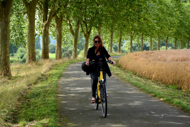 warendorf, Noordrijn-Westfalen,  teutobergerwoud, externsteine, höxter, rheda-wiedenbruck, Euroradweg, R1, fietsroutes duitsland, fietsroutes nrw, fiettourisme noordrijn-westfalen, abdij corvey, fietsen langs de Eems, fietsen langs de weser, detmold, 