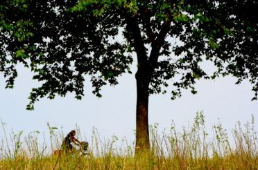 LANGS GROENE WEGEN 1: FIETSEN DOOR NOORDRIJN-WESTFALEN