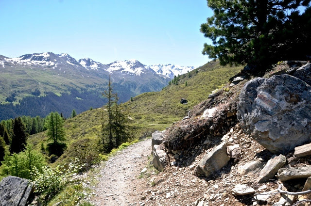 Zwitserland, Graubünden, Zwitserse Alpen, bergwandelingen, vakantie in zwitserland, bergvakantie