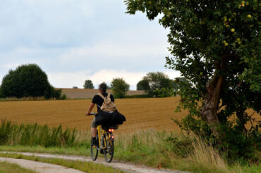 LANGS GROENE WEGEN 2: FIETSEN DOOR NEDERSAKSEN.