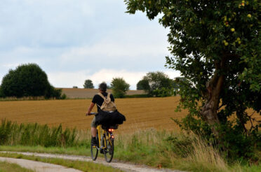 LANGS GROENE WEGEN 2: FIETSEN DOOR NEDERSAKSEN.