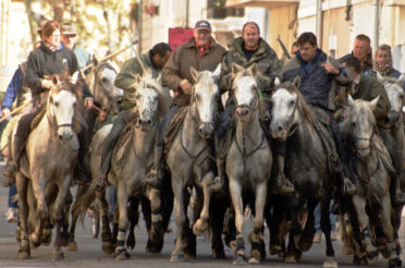 DE CAMARGUE, HET WILDE WESTEN IN DE RHÔNE DELTA