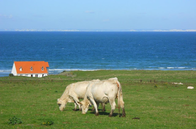 côte d'opale, opaalkust, grand site de france, les deux caps, baai van wissant, pas de calais, cap blanc-nez, cap gris-nez, 