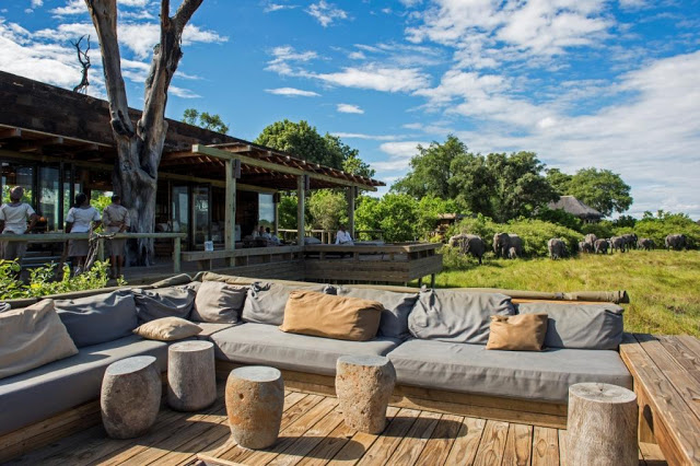 Vumbura Plains Lodge, Botswana, glamping, beautiful lodge, African lodge, wildlife, bush, 