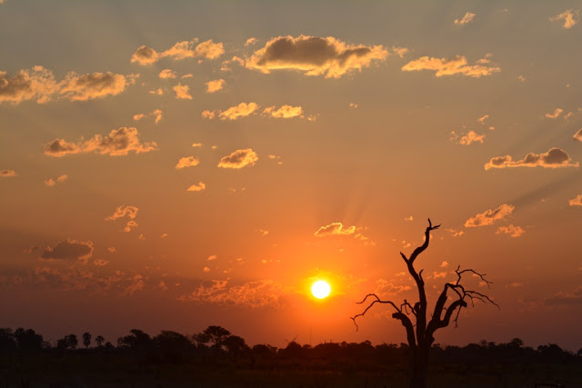 susnset, zonsondergang, beautiful sunset, african sunset, dead tree, end of the day, awesome sunset, mooie zonsondergang