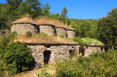 WIJNTOERIST IN CATALONIË (2): DE ‘VERDWENEN’ WIJNCULTUUR VAN PLA DE BAGES