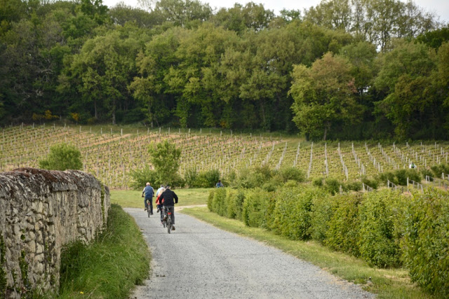 bezienswaardigheden loirestreek, loirewijnen, fietsen in de loirestreek