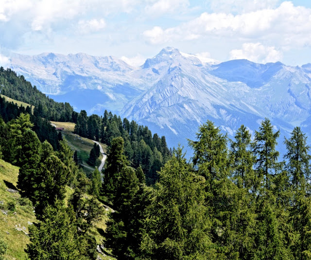 zwitserse wijnen, fendant, dôle, plan du fou, dent de nendaz, valais, tracouet, wallis, la printze, visperterminen, bisses, zwitserland, bergvakantie, matterhorn, mont blanc,nendaz, mont fort, 