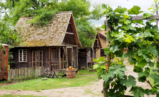 wijntoerisme kroatië, wijntoerisme baranja, kroatische wijnen, vina belje, josic winery, grasevina, donauwijnen, 