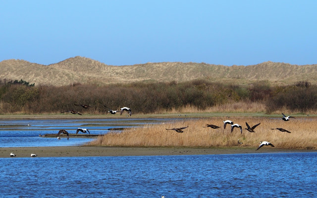 Terschelling, Vlieland, Ameland,Wadden, Waddenzee, klipper, zeilboot, Waddeneilanden, Iselmar, Noordzee, 