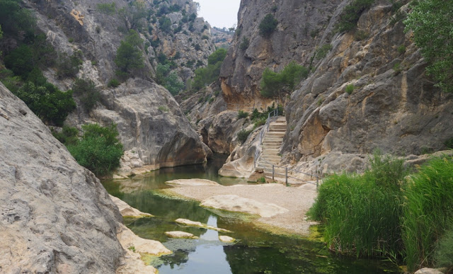 do terra alta, do alella, wijntoerisme catalonië, wijnkathedraal, art-nouveau wijnhuizen, via verde de la terra alta, la fontcalda, pinell de brai, wijn, wijntoerisme, gandesa, adernats, nulles, cesar martinell, do tarragona, do montsant, celler maisrog, cava, catalaanse wijnen, spaanse wijnen, alta alella mirgin, 