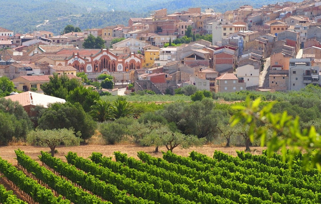 do terra alta, do alella, wijntoerisme catalonië, wijnkathedraal, art-nouveau wijnhuizen, via verde de la terra alta, la fontcalda, pinell de brai, wijn, wijntoerisme, gandesa, adernats, nulles, cesar martinell, do tarragona, do montsant, celler maisrog, cava, catalaanse wijnen, spaanse wijnen, alta alella mirgin, 