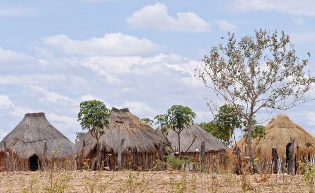 road trip namibië, divundu, okavango rivier, shamatapa village, mahango core area, Animal Disease Control Checkpoint Mururani, rundu, caprivistrook, etosha, divava kavango lodge, Hambukushu, grootfontein,