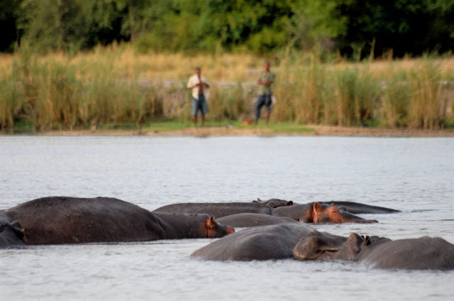 road trip namibië, divundu, okavango rivier, shamatapa village, mahango core area, Animal Disease Control Checkpoint Mururani, rundu, caprivistrook, etosha, divava kavango lodge, Hambukushu, grootfontein,