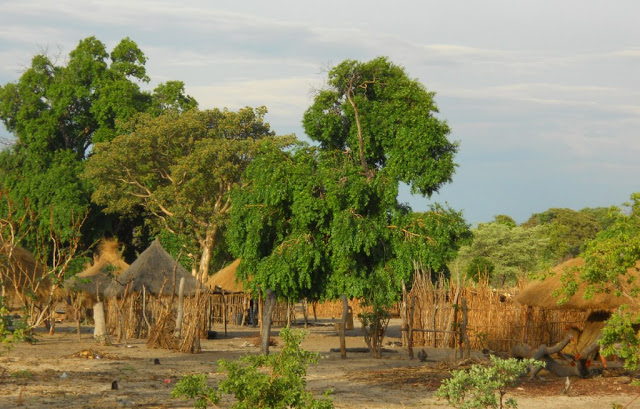 road trip namibië, divundu, okavango rivier, shamatapa village, mahango core area, Animal Disease Control Checkpoint Mururani, rundu, caprivistrook, etosha, divava kavango lodge, Hambukushu, grootfontein,