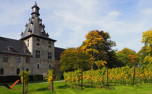 Petits-gris de namur, aoc samber en maas wijnen, vins aoc sambre et meuse, escargots de namur, naamse traagheid, saffraan, saffraan uit namen, chateau de bioul, philippe grafé, domaine de chenoy, waalse wijnen, wildpluk op citadel namen, gastronomie namen, gastroomie wallonië, 