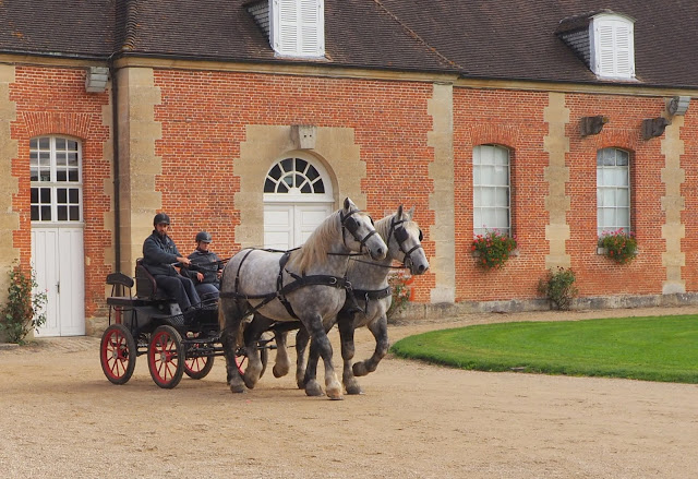 Orne, Bellême, Mortagne-au-Perche, Pin du Haras, Normandische platteland, calvados, cider, pommeau, boudin noir, Perche, normandische paarden, normandische koeien, 