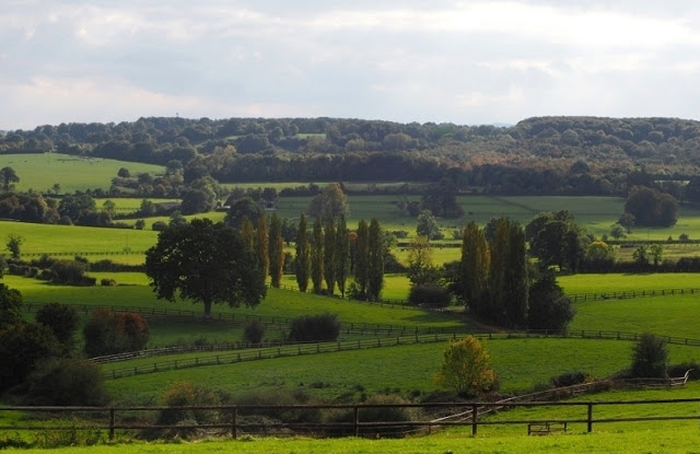 Orne, Bellême, Mortagne-au-Perche, Pin du Haras, Normandische platteland, calvados, cider, pommeau, boudin noir, Perche, normandische paarden, normandische koeien, 