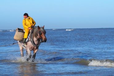 BIER, GARNALEN & WEST-VLAAMS ROOD: 3 X ONGEREMD GENIETEN IN KOKSIJDE-OOSTDUINKERKE