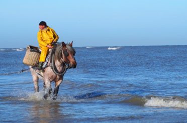 BIER, GARNALEN & WEST-VLAAMS ROOD: 3 X ONGEREMD GENIETEN IN KOKSIJDE-OOSTDUINKERKE