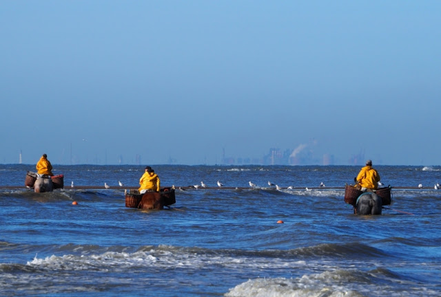 Koksijde, oostduinkerke, navigo visserijmuseum, paardenvissers, dierendonck, restaurant carcasse, hendrik dierendonck, abdijmuseum ten duinen, bier, abdijbieren, garnalen, foodies, unesco werelderfgoed, gastronomie aan de Belgische kust, westhoek, 