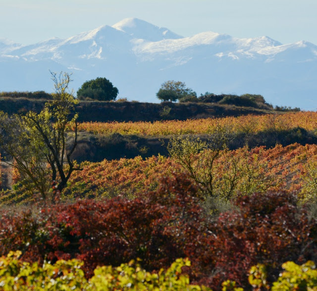 La rioja, rioja wijnen, rioja crianza, rioja gran reserva, rioja reserva, rioja vino joven, bodega marqués de riscal, bodega baigorri, bodega marqués de murrieta, longrono, samaniego, entrena, rioja alta, rioja alavesa, rioja baja, wijn, wine, rioja wines, spanish wine, spaanse wijn, sierra cantabria, sierra de la demanda, elciego, architect Frank Gehry, city of wine, hotel marques de riscal elciego, Guggenheim Museum in Bilbao, Tempranillo, Garnacha, Mazuelo, Graciana, Viura, Malvasia Riojana, Garnacha Blanco, caractère erpe-mere, caractère reizen, spanje, Calle del Laurel, tapas, Architect Iñaki Aspiazu, Finca de los Arandinos, Puerto de Herrera, bodega Ysios, Dolmen van San Martín, Laguardia, Castillo Ygay Blanco Gran Reserva Especial 1986, gastronomie, foodie, Castillo Ygay, Casalareina, la cueva de dona isabela casalareina, Ebrovallei, architect Javier Arizcuren, David Delfin, sunny cars autoverhuur, 