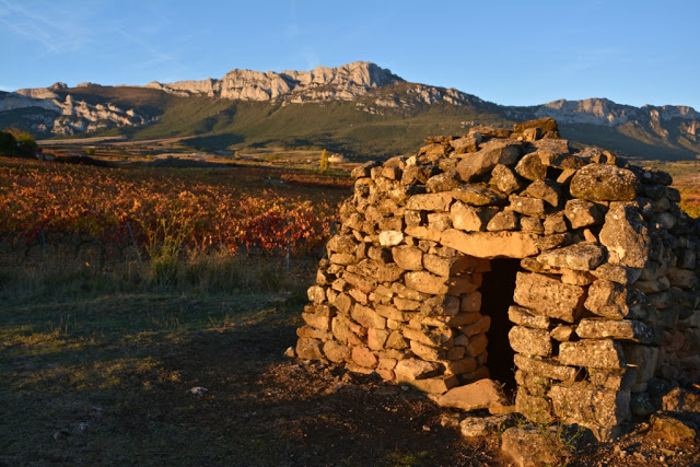 La rioja, rioja wijnen, rioja crianza, rioja gran reserva, rioja reserva, rioja vino joven, bodega marqués de riscal, bodega baigorri, bodega marqués de murrieta, longrono, samaniego, entrena, rioja alta, rioja alavesa, rioja baja, wijn, wine, rioja wines, spanish wine, spaanse wijn, sierra cantabria, sierra de la demanda, elciego, architect Frank Gehry, city of wine, hotel marques de riscal elciego, Guggenheim Museum in Bilbao, Tempranillo, Garnacha, Mazuelo, Graciana, Viura, Malvasia Riojana, Garnacha Blanco, caractère erpe-mere, caractère reizen, spanje, Calle del Laurel, tapas, Architect Iñaki Aspiazu, Finca de los Arandinos, Puerto de Herrera, bodega Ysios, Dolmen van San Martín, Laguardia, Castillo Ygay Blanco Gran Reserva Especial 1986, gastronomie, foodie, Castillo Ygay, Casalareina, la cueva de dona isabela casalareina, Ebrovallei, architect Javier Arizcuren, David Delfin, sunny cars autoverhuur, 