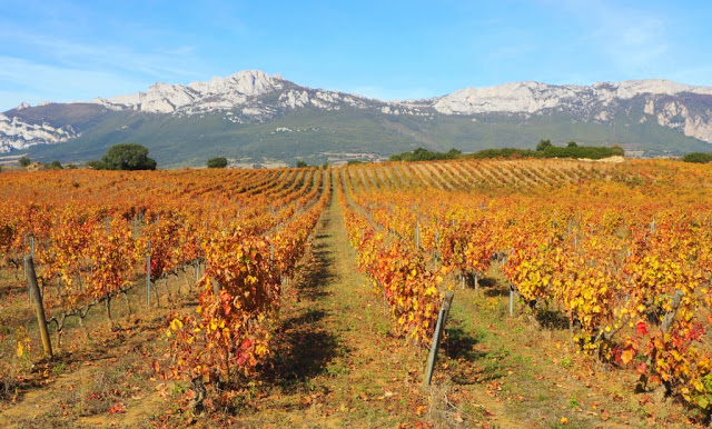 La rioja, rioja wijnen, rioja crianza, rioja gran reserva, rioja reserva, rioja vino joven, bodega marqués de riscal, bodega baigorri, bodega marqués de murrieta, longrono, samaniego, entrena, rioja alta, rioja alavesa, rioja baja, wijn, wine, rioja wines, spanish wine, spaanse wijn, sierra cantabria, sierra de la demanda, elciego, architect Frank Gehry, city of wine, hotel marques de riscal elciego, Guggenheim Museum in Bilbao, Tempranillo, Garnacha, Mazuelo, Graciana, Viura, Malvasia Riojana, Garnacha Blanco, caractère erpe-mere, caractère reizen, spanje, Calle del Laurel, tapas, Architect Iñaki Aspiazu, Finca de los Arandinos, Puerto de Herrera, bodega Ysios, Dolmen van San Martín, Laguardia, Castillo Ygay Blanco Gran Reserva Especial 1986, gastronomie, foodie, Castillo Ygay, Casalareina, la cueva de dona isabela casalareina, Ebrovallei, architect Javier Arizcuren, David Delfin, sunny cars autoverhuur, 