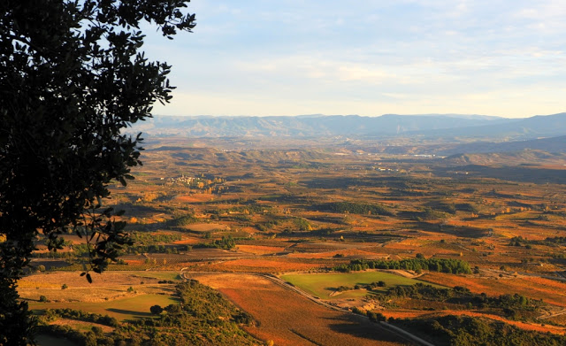 La rioja, rioja wijnen, rioja crianza, rioja gran reserva, rioja reserva, rioja vino joven, bodega marqués de riscal, bodega baigorri, bodega marqués de murrieta, longrono, samaniego, entrena, rioja alta, rioja alavesa, rioja baja, wijn, wine, rioja wines, spanish wine, spaanse wijn, sierra cantabria, sierra de la demanda, elciego, architect Frank Gehry, city of wine, hotel marques de riscal elciego, Guggenheim Museum in Bilbao, Tempranillo, Garnacha, Mazuelo, Graciana, Viura, Malvasia Riojana, Garnacha Blanco, caractère erpe-mere, caractère reizen, spanje, Calle del Laurel, tapas, Architect Iñaki Aspiazu, Finca de los Arandinos, Puerto de Herrera, bodega Ysios, Dolmen van San Martín, Laguardia, Castillo Ygay Blanco Gran Reserva Especial 1986, gastronomie, foodie, Castillo Ygay, Casalareina, la cueva de dona isabela casalareina, Ebrovallei, architect Javier Arizcuren, David Delfin, sunny cars autoverhuur, 