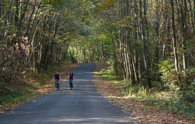 L’Orne, Normandië, Le Perche, Bellême, fietsen, fietsvakantie, fietsen in Frankrijk, L' Échappée de Sublaine, Saint-Jean-de-la-Fôret, Courthioust, Colonard-Corubert, Manoir de Courboyer,  Nocé, Boissy-Maugis, Parc Naturel Régional du Perche, Manoir de la Moussetière, Le Café des Amis Boissy-Maugis, Véloscénie, Manoir de la Vove, Basilique Notre Dame de Montligeon, Pont Catintat, Corbon, Mauves-sur-Huisne, Bois Dambrai, Saint-Ouen-de-la-Cour, Forêt de Bellême, Saint-Martin-du-Vieux-Bellême, Manoir du Lormarin, Auberge des 3J, La Route Royale, Dorceau,  Moutiers-au-Perche, Rémalard, charmestadjes in normandië, middeleeuwse kastelen in normandië, 