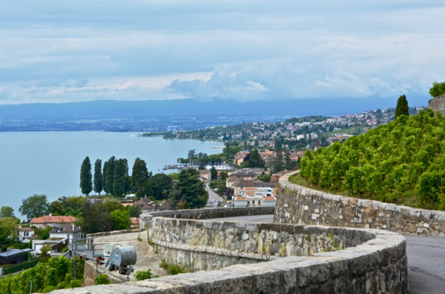 Meer van Geneve, Lac Leman, Zwitserland, Vevey, Lausanne, Lutry, Grandvaux, Wijnterrassen van Lavaux, wijntoerisme, Chasselas, Zwitserse wijnen, fietsen, fietsen in zwitserland, Saint-Saphorin, Château d' Ouchy, Cathédrale Notre-Dame Lausanne,  Zwitserse Rivièra, Musée Olympique Lausanne, olympisch museum lausanne, Brasserie Montbenon Lausanne, 