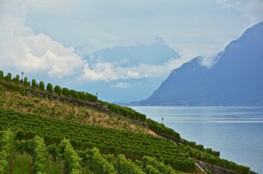 MET DE FIETS LANGS HET MEER VAN GENÈVE (2): LAUSANNE – VEVEY