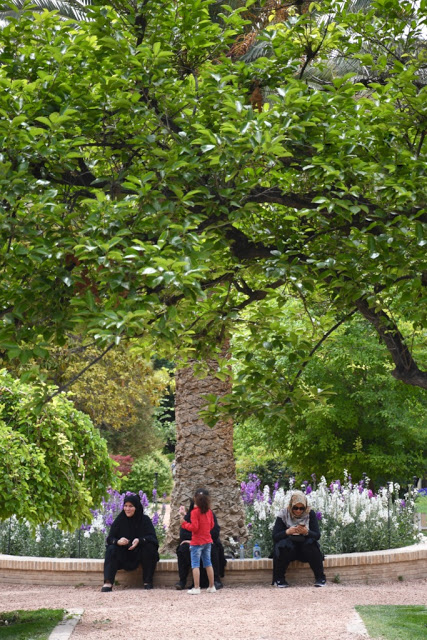 Cultuurreis iran, iran, perzië, yazd, shiraz, Torens der Stilte (Dakhma), Zoroastrisme, Zarathustra, Vuurtempel in Yazd, windtorens (bâdgir),  Dolat Abad Garden, Perzische tuin, Haj Khalife Ali Radbar,  Jameh moskee, Jameh moskee, Chakhmagh plein Yazd,  Amir Chakmagh Complex, Hussainia, Zurkaneh, Arg van Karim Khan, Goade-E-Arabanplein, Molk moskee, Vakil moskee, eten iran, Hafez Mausoleum, Hafez, Ascetische Islam, Qavam’s Orange Tree Garden Shiraz, Eram tuin, Eram garden Shiraz, joker reizen, Mausoleum Ali Ibn E Hamze, chador, 