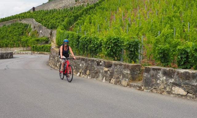 Meer van Geneve, Lac Leman, Zwitserland, Vevey, Lausanne, Lutry, Grandvaux, Wijnterrassen van Lavaux, wijntoerisme, Chasselas, Zwitserse wijnen, fietsen, fietsen in zwitserland, Saint-Saphorin, Château d' Ouchy, Cathédrale Notre-Dame Lausanne,  Zwitserse Rivièra, Musée Olympique Lausanne, olympisch museum lausanne, Brasserie Montbenon Lausanne, 