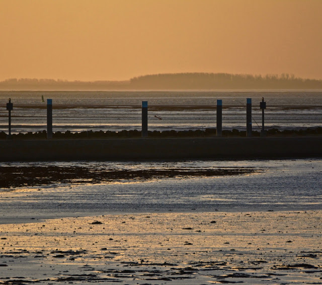 Schiermonnikoog, lauwersoog, Lytje Pôle, Ambrosijn Suites, Waddeneilanden, De Schiere Monnik, de Walviskaak, klooster Klaarkamp, de Langestreek, Willemshof Schiermonnikoog, de Zuidertoren, de Wassermann Bunker, Vredenhof Schiermonnikoog, de Buitentoren, hotel van der werff, Nationaal Park, Nederlandse landgeiten, strandjutten, de marlijn, wadden, wadtodo, 