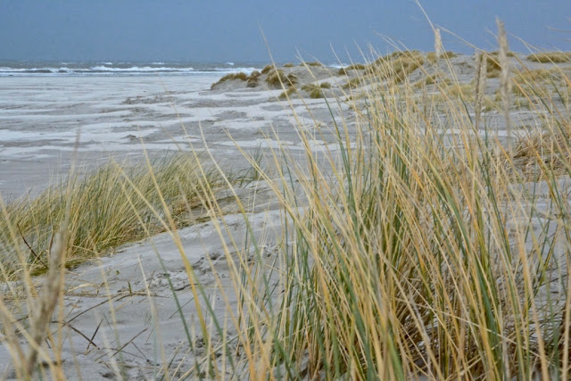 Schiermonnikoog, lauwersoog, Lytje Pôle, Ambrosijn Suites, Waddeneilanden, De Schiere Monnik, de Walviskaak, klooster Klaarkamp, de Langestreek, Willemshof Schiermonnikoog, de Zuidertoren, de Wassermann Bunker, Vredenhof Schiermonnikoog, de Buitentoren, hotel van der werff, Nationaal Park, Nederlandse landgeiten, strandjutten, de marlijn, wadden, wadtodo, 