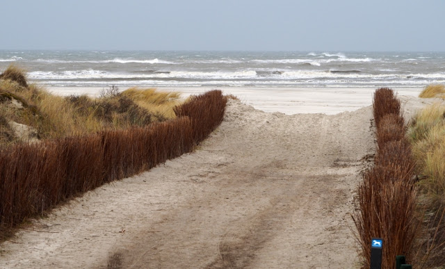 Schiermonnikoog, lauwersoog, Lytje Pôle, Ambrosijn Suites, Waddeneilanden, De Schiere Monnik, de Walviskaak, klooster Klaarkamp, de Langestreek, Willemshof Schiermonnikoog, de Zuidertoren, de Wassermann Bunker, Vredenhof Schiermonnikoog, de Buitentoren, hotel van der werff, Nationaal Park, Nederlandse landgeiten, strandjutten, de marlijn, wadden, wadtodo, 